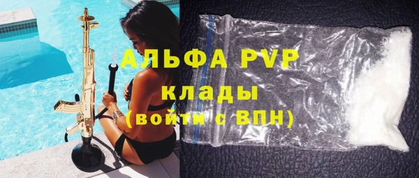 ешки Бородино