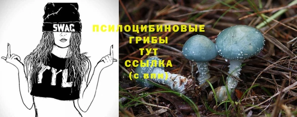 ешки Бородино