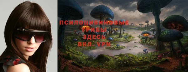 прущий лед Бугульма